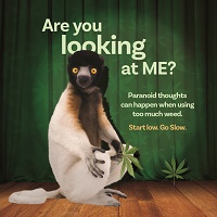 image of animal looking at the camera with caption "are you looking at me"