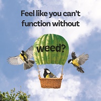 image with caption "feel like you can't function without weed?"