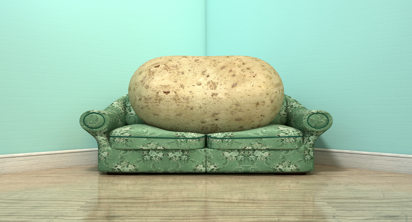 Potato on a couch