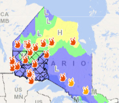 interactive forest fire map
