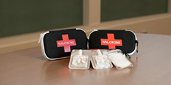 Naloxone Kits