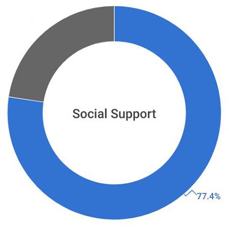 Social Support