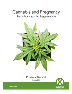Cannabis & Pregnancy Phase 2 Cover