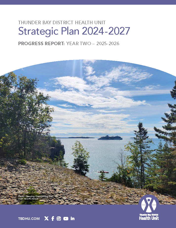 cover of the Strategic Plan Year 2 Report