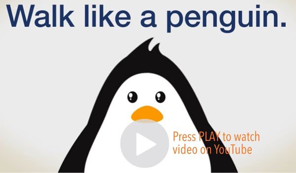 Walk Like a Penguin Video