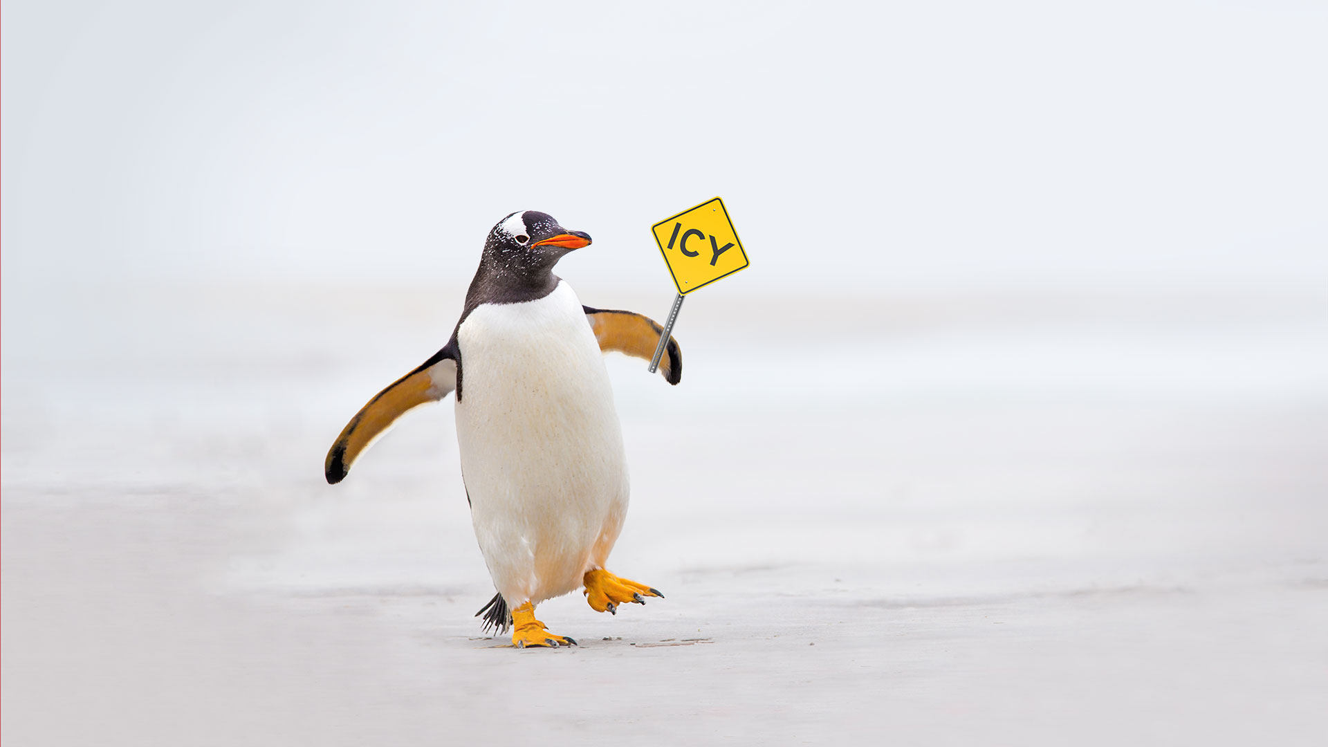 Walk like a Penguin
