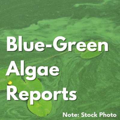 Blue-Green Algae Reports