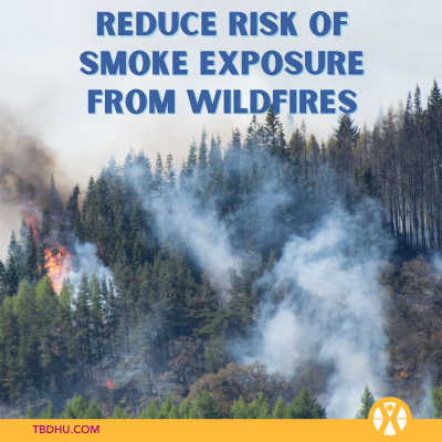 a forest fire throwing smoke in the air