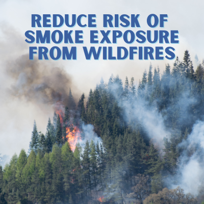 a forest fire throwing smoke in the air