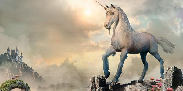 Unicorn