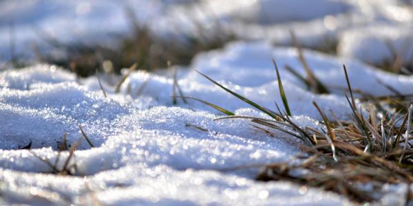 Melting Snow