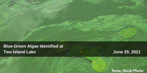 Blue-Green Algae Identified at Two Island Lake