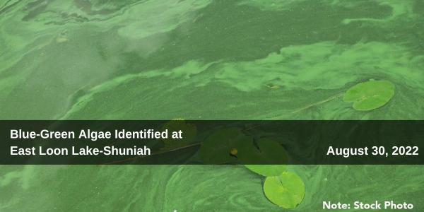 Blue-Green Algae Identified at East Loon Lake-Shuniah