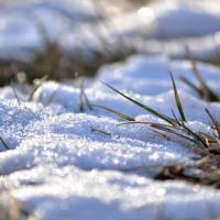 Melting Snow