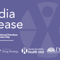 media release notice